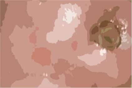 私の蟲姦遊び 第11話 妊娠中にカミキリ虫の幼虫とゴキブリの卵編 全編(シングルママの日常) - FANZA同人