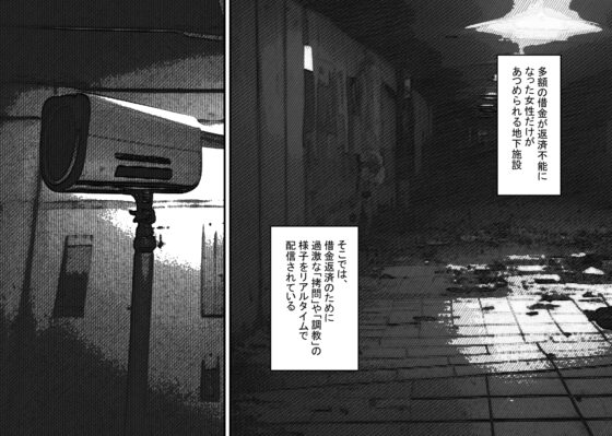 泣いても終わらない無限クリイキ配信 [蜂蜂蜂] | DLsite 同人 - R18