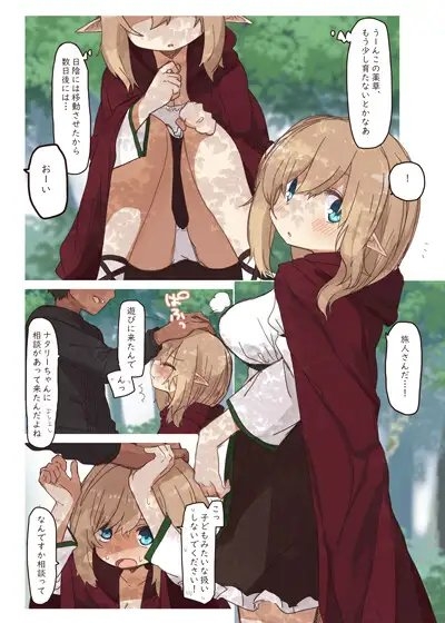 エルフが住む家。 [いーすとはうす] | DLsite 同人 - R18