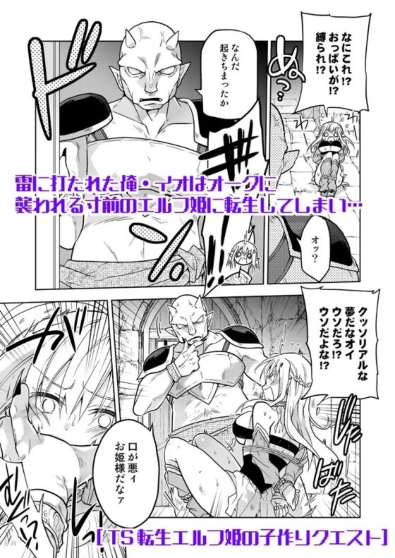 TS転生エルフ姫の子作りクエスト [T-NORTH] | DLsite 同人 - R18