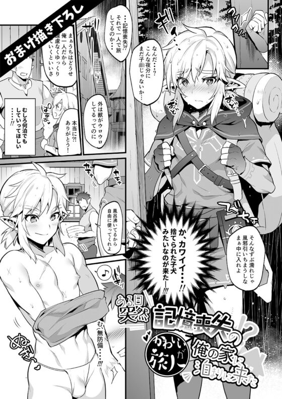 勇者の再録本チャレンジ(もりっとこけ) - FANZA同人