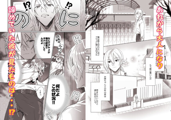 【後編】お姉ちゃんとの年の差は埋まらないのに.(カシオピュータ) - FANZA同人