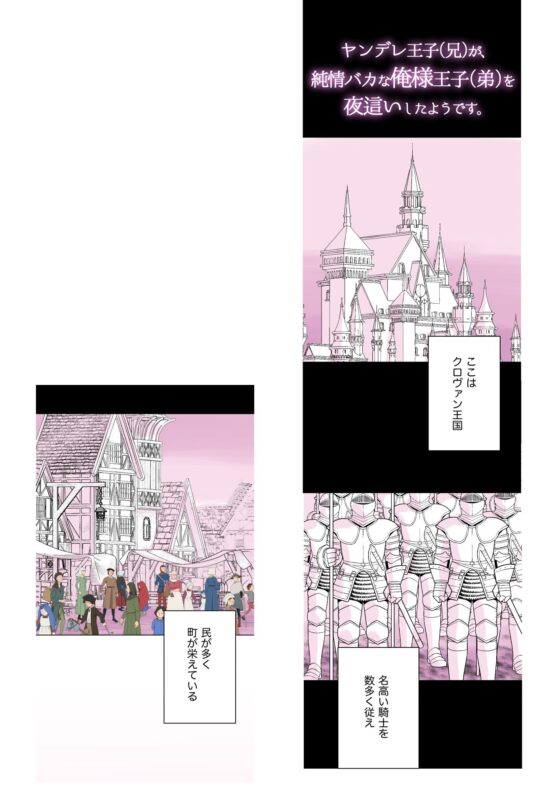 ヤンデレ王子（兄）が、純情バカな俺様王子（弟）を 夜●いしたようです。(星谷京) - FANZA同人