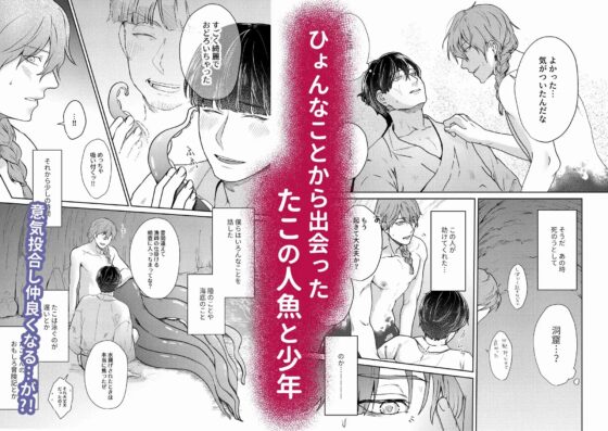 たことメスイキ赤珊瑚 [スタジオポンチ] | DLsite がるまに