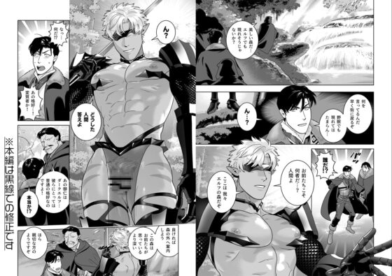 エロ鎧エルフ [イヌミソ] | DLsite がるまに