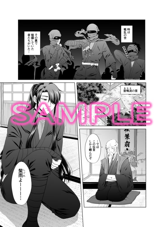 忍びのお仕事～戦国忍者破廉恥見聞録～ [かんらい亭] | DLsite がるまに