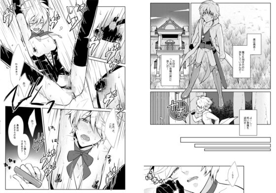 おねだり勇者と魔王と戯具 [Peeping Phantom] | DLsite がるまに