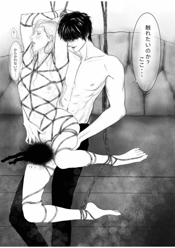 淫らな調教 [Paramour] | DLsite がるまに