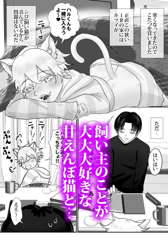 うちの飼い猫♂はこたつでシたい! [Tn2] | DLsite がるまに