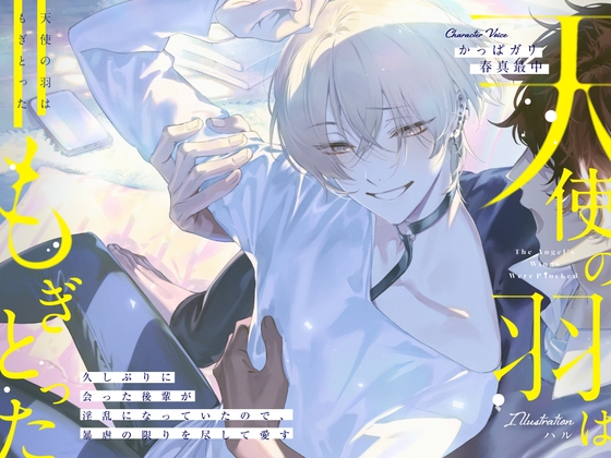 天使の羽はもぎとった～久しぶりに会った後輩が淫乱になっていたので、暴虐の限りを尽くして愛す～ [ハニーブーブー] | DLsite がるまに