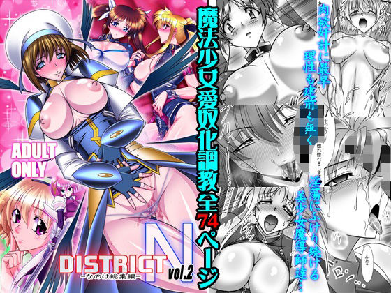 DISTRICT N vol.2(BOBCATERS) - FANZA同人
