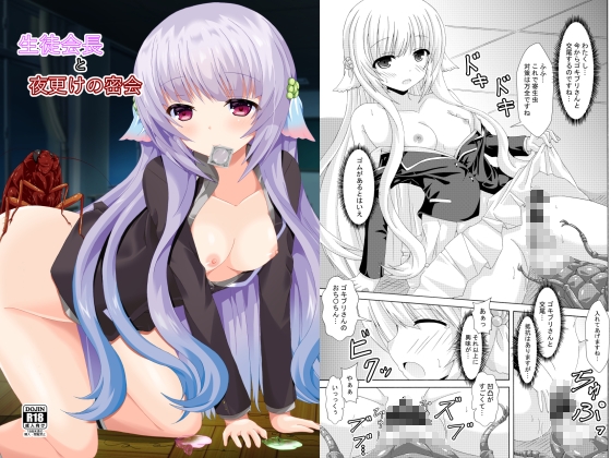 生徒会長と夜更けの密会 [ドリームプロジェクト] | DLsite 同人 - R18
