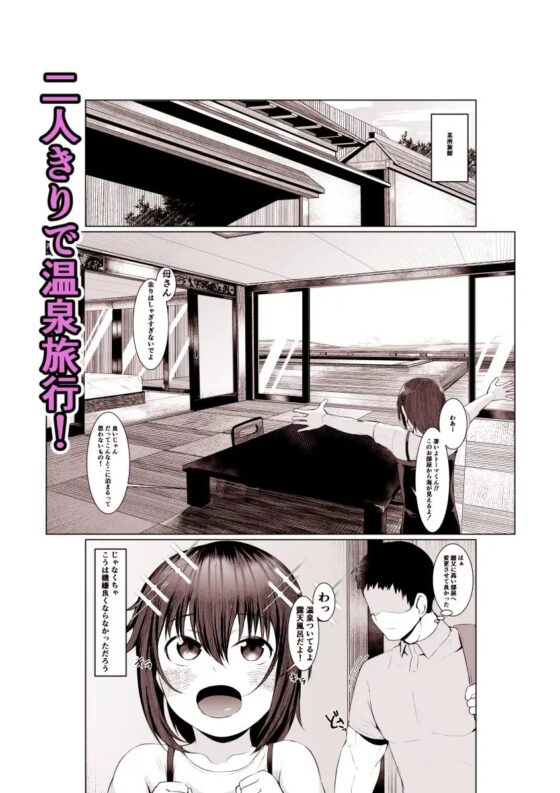 実母だけど孕ませたい2~温泉旅行編~ [あの村] | DLsite 同人 - R18