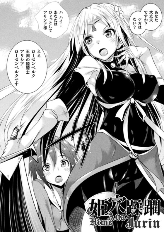 聖女堕落 [キルタイムコミュニケーション] | DLsite 成年コミック - R18