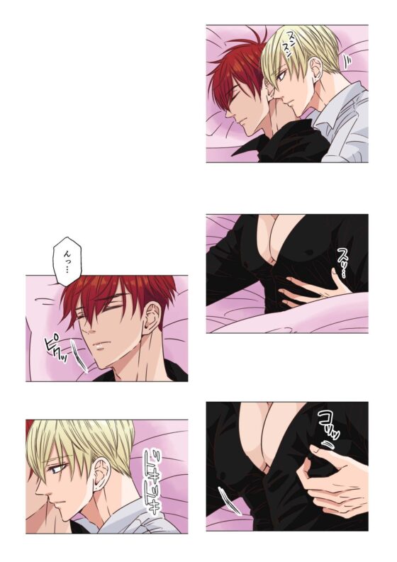 ヤンデレ王子(兄)が、純情バカな俺様王子(弟)を 夜這いしたようです。 [星谷京] | DLsite がるまに