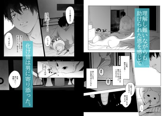 化け猫と未亡人 [あたらよ] | DLsite がるまに