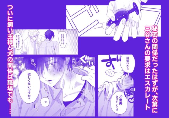 職場のイケメン営業は理想の飼い主様2 [あたらよ] | DLsite がるまに