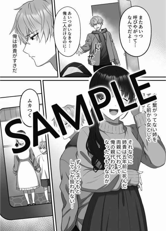 陽翔くんは義姉さんをNTRたい [DARKMOON] | DLsite がるまに