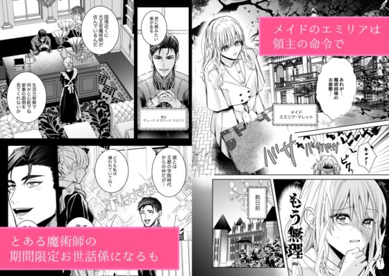 魔術師の花檻 [いぬていこく] | DLsite がるまに