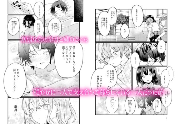 姉じゃなきゃ××しない⁉～一途な弟に求められて流されエッチ⁉～ [爆乳元年] | DLsite がるまに