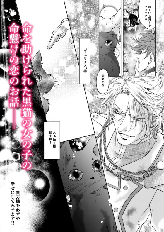 騎士様お慕いしております! [すずらんカフェ] | DLsite がるまに