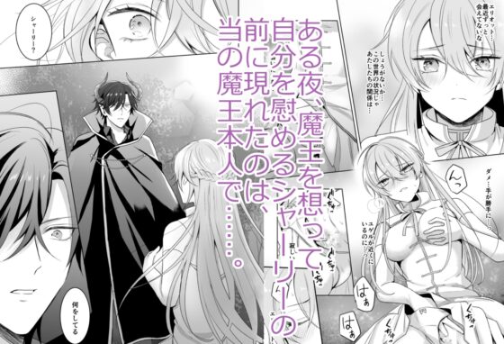 魔宮混淆 後編～女勇者は魔王の愛に乱れる～ [KOKO] | DLsite がるまに