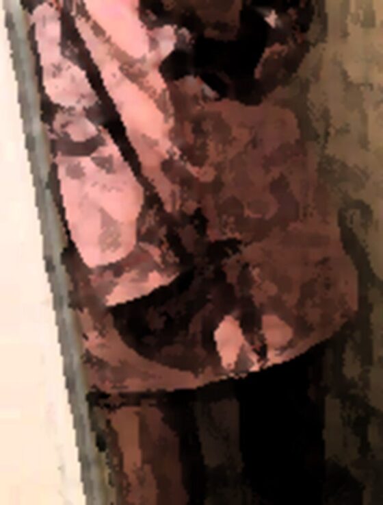 私の蟲姦遊び 17 話 妊娠中にスズメガのサナギ編(シングルママの日常) - FANZA同人