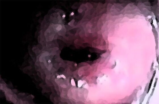 私の蟲姦遊び 19話 妊娠中に2匹のゴキブリの幼虫編(シングルママの日常) - FANZA同人