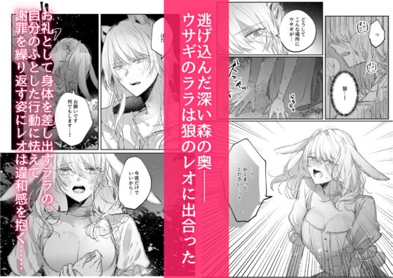 脱兎は狼の愛を知る [綺羅綺羅の日] | DLsite がるまに