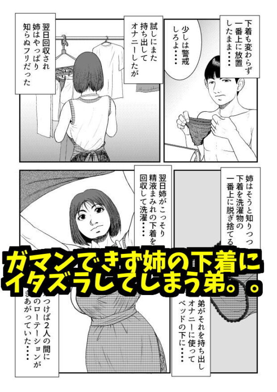 酒屋姉弟(Small House) - FANZA同人