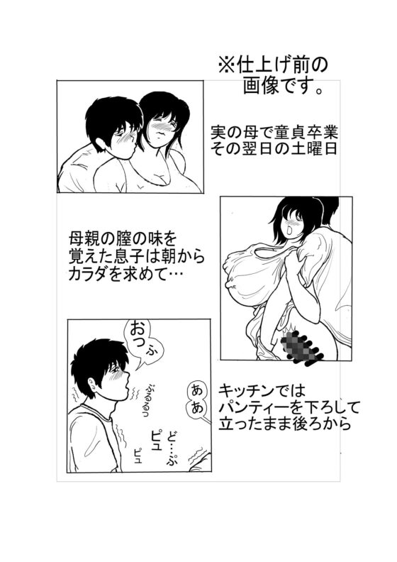 息子と二人きりで暮らすことになりました2―母子の休日（土）―(棒人間) - FANZA同人