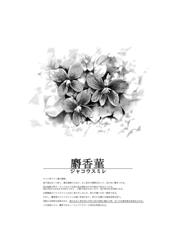 sweet days(夜のバンド) - FANZA同人