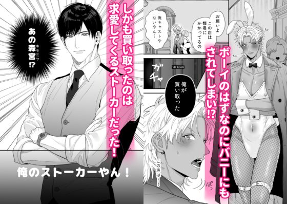 エッチ♡バニー 〜ボーイの俺がバニーになって恋人契約♡した件について〜 [すいかどんぶり] | DLsite がるまに