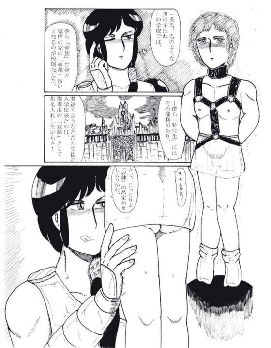 美少年奴隷ケツ穴地獄編 [ヘリオガバルスの市] | DLsite がるまに