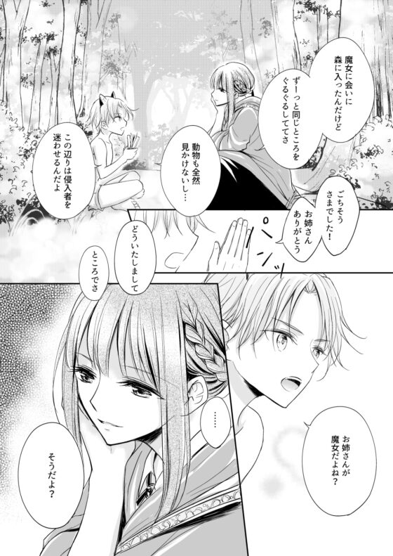 嫉妬～子犬を拾った魔女の話～ [Liry Rain] | DLsite がるまに