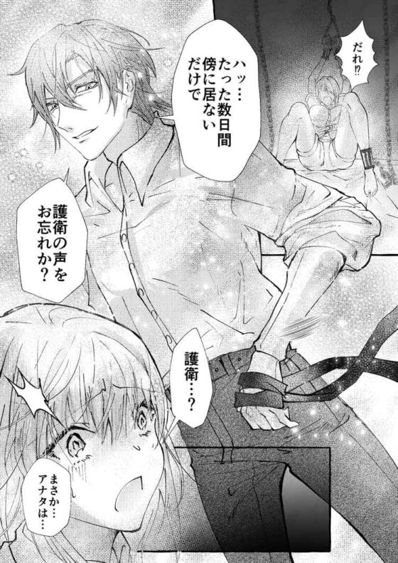 裏夢読みたいだけなのに…裏パス間違えたら嫌われ夢主狂愛ヤンデレ短編激裏に異世界転生した件 [ちのわるど] | DLsite がるまに