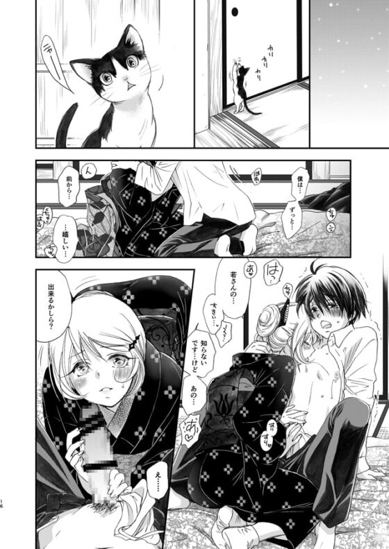 匣の中の猫 総集編 [やまぐち楼] | DLsite がるまに