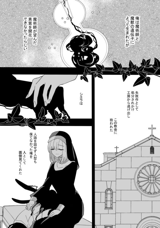 シスターのかわいいキメラ [泪骨] | DLsite がるまに