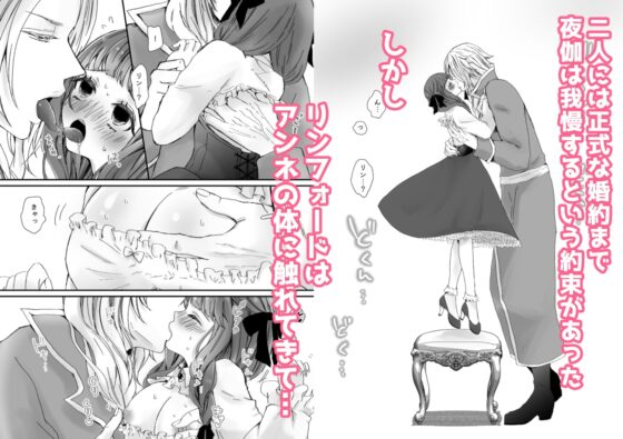 【獣の国の赤ずきん】発情期のケモミミ王子に地位も名誉も純潔も奪われ悪役令嬢へ堕とされました [ribbonclassic] | DLsite がるまに