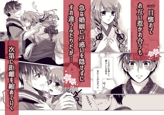 戦獄色語1 姫の巻～愛する姫が凌辱されたので、お清めする話～ [tori sumika] | DLsite がるまに