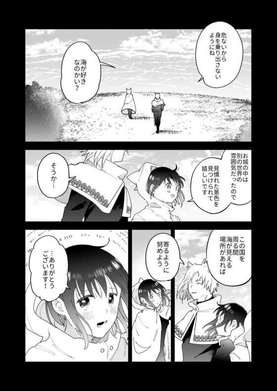 再召喚された元聖女は護衛騎士に囚われる3 [OTIBA] | DLsite がるまに
