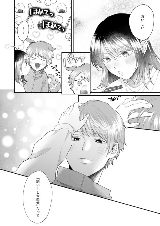 年上犬系彼氏は夜だけ私の飼い主様 [THE猥談] | DLsite がるまに