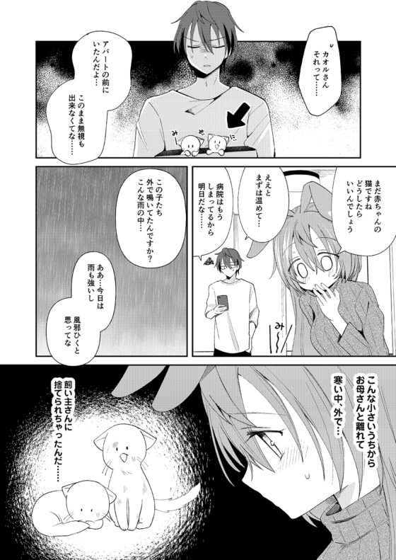 返品うさぎ3-私、お母さんになります!?- [とこのま] | DLsite 同人 - R18