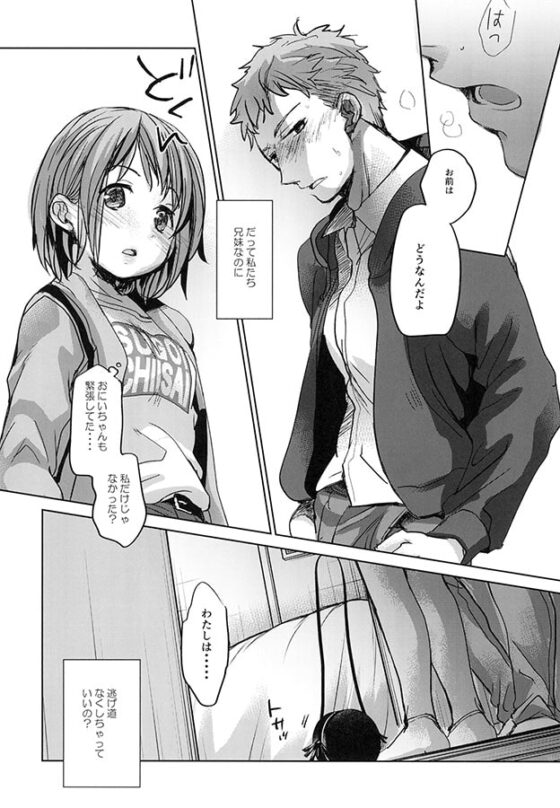 わたしと兄の日常 [おかだ亭] | DLsite 同人 - R18