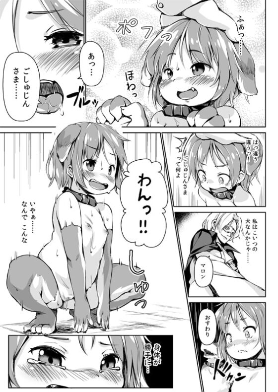 ペットライフあふたーふゅーじょん [ななめ班] | DLsite 同人 - R18