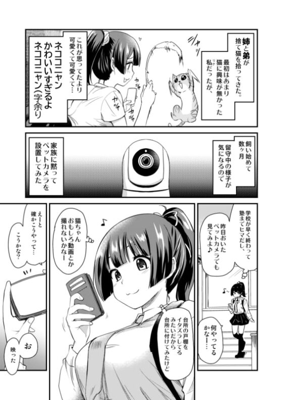 ペット見守りカメラに姉と弟のセックスが映っていた。 [真・聖堂☆本舗] | DLsite 同人 - R18