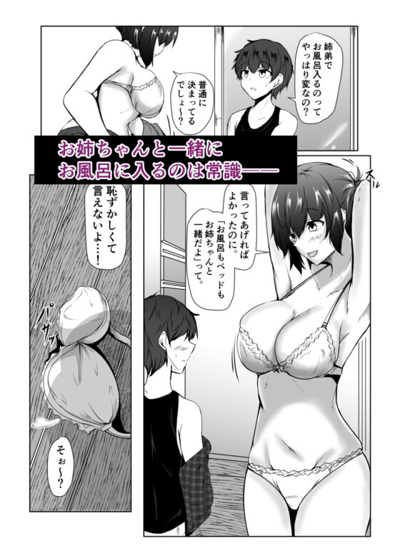 ねぇちゃんと風呂入ってる? [石ケンピ] | DLsite 同人 - R18