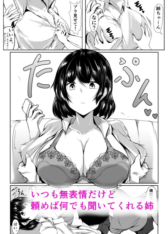 弟のエッチなイタズラに寛容すぎる無気力な姉 [石ケンピ] | DLsite 同人 - R18