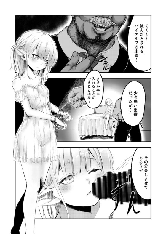 エルフを犯すほん [ビューティサロンB &S] | DLsite 同人 - R18