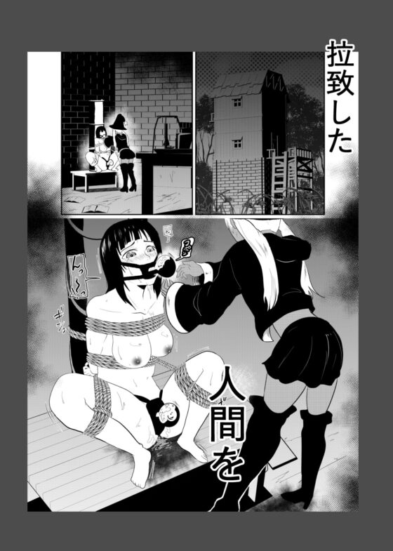 えろ拷問日誌III [トンテン] | DLsite 同人 - R18